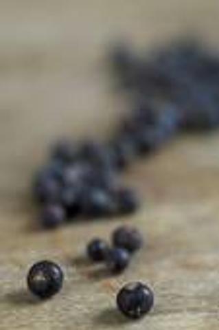 Juniper Berry (Juniperus communis)